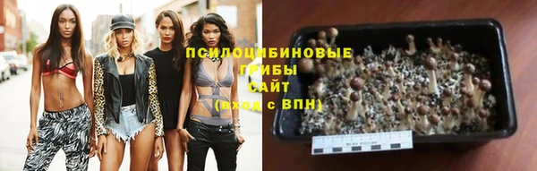 мдпв Верхний Тагил