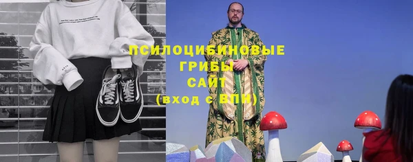 бошки Верея